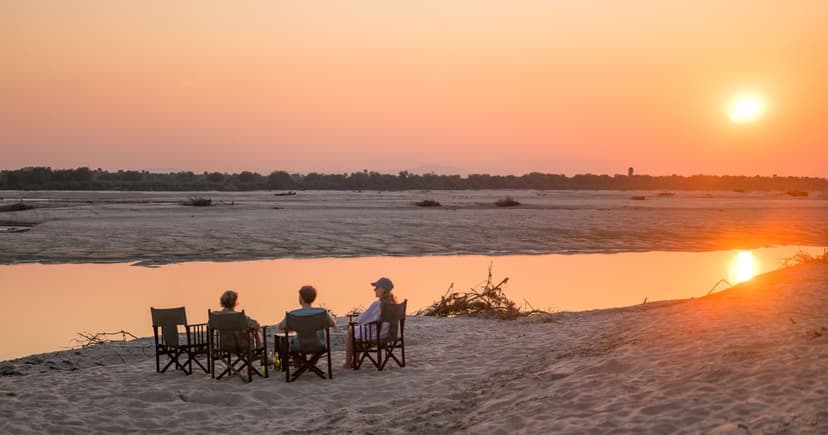 Boat safari on the Rufiji