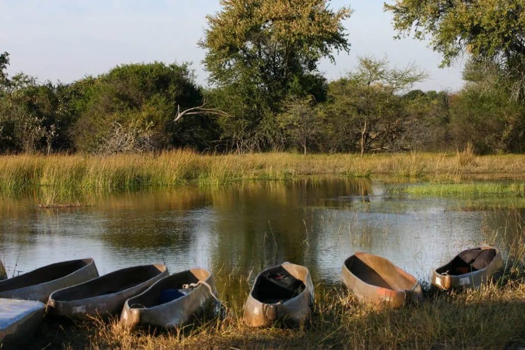 Mokoro canoe safari through papyrus channels in the Okavango Delta, Botswana