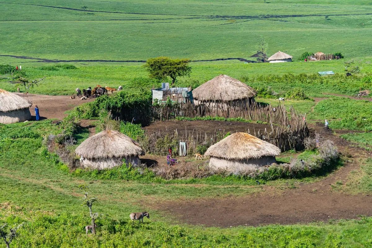 Maasai Cultural Village Visit in Serengeti, Tanzania