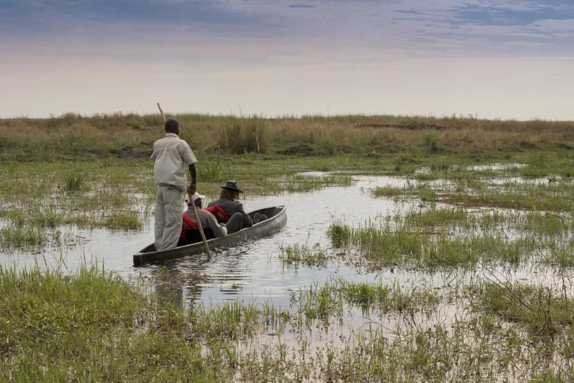 Selinda Concession Explorer safari experience