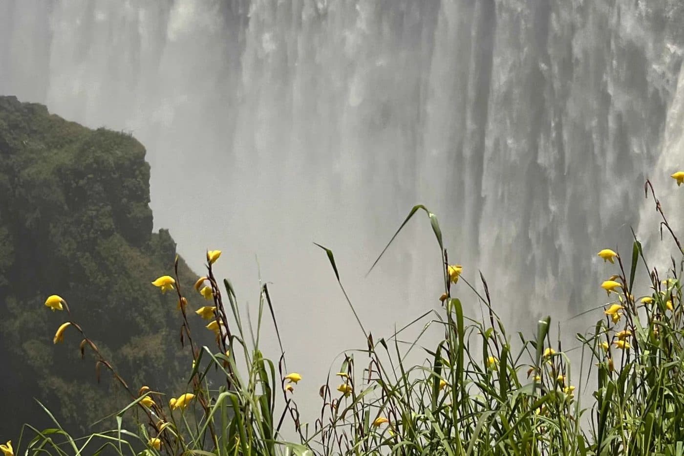 Victoria Falls Guided Walking Tour in Victoria Falls, Zimbabwe