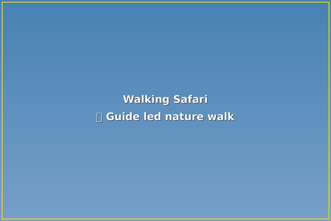 Kruger Walking Safari — 3 Hours on Foot — Kruger