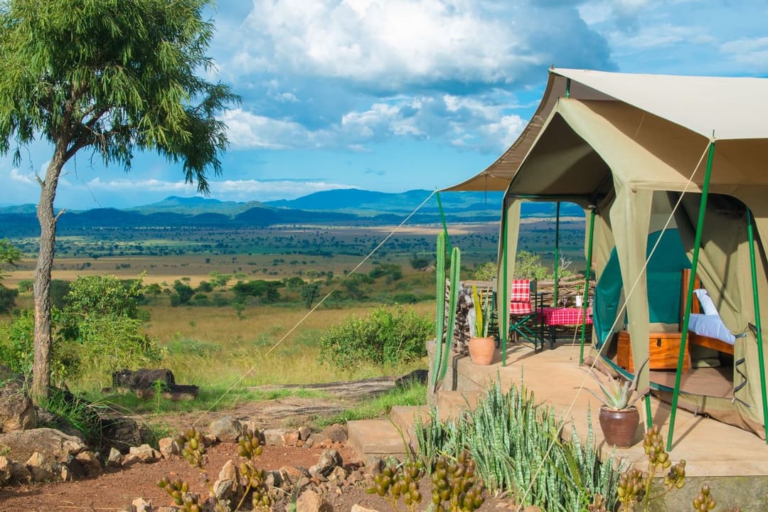 Day 1 - Fly to Kidepo