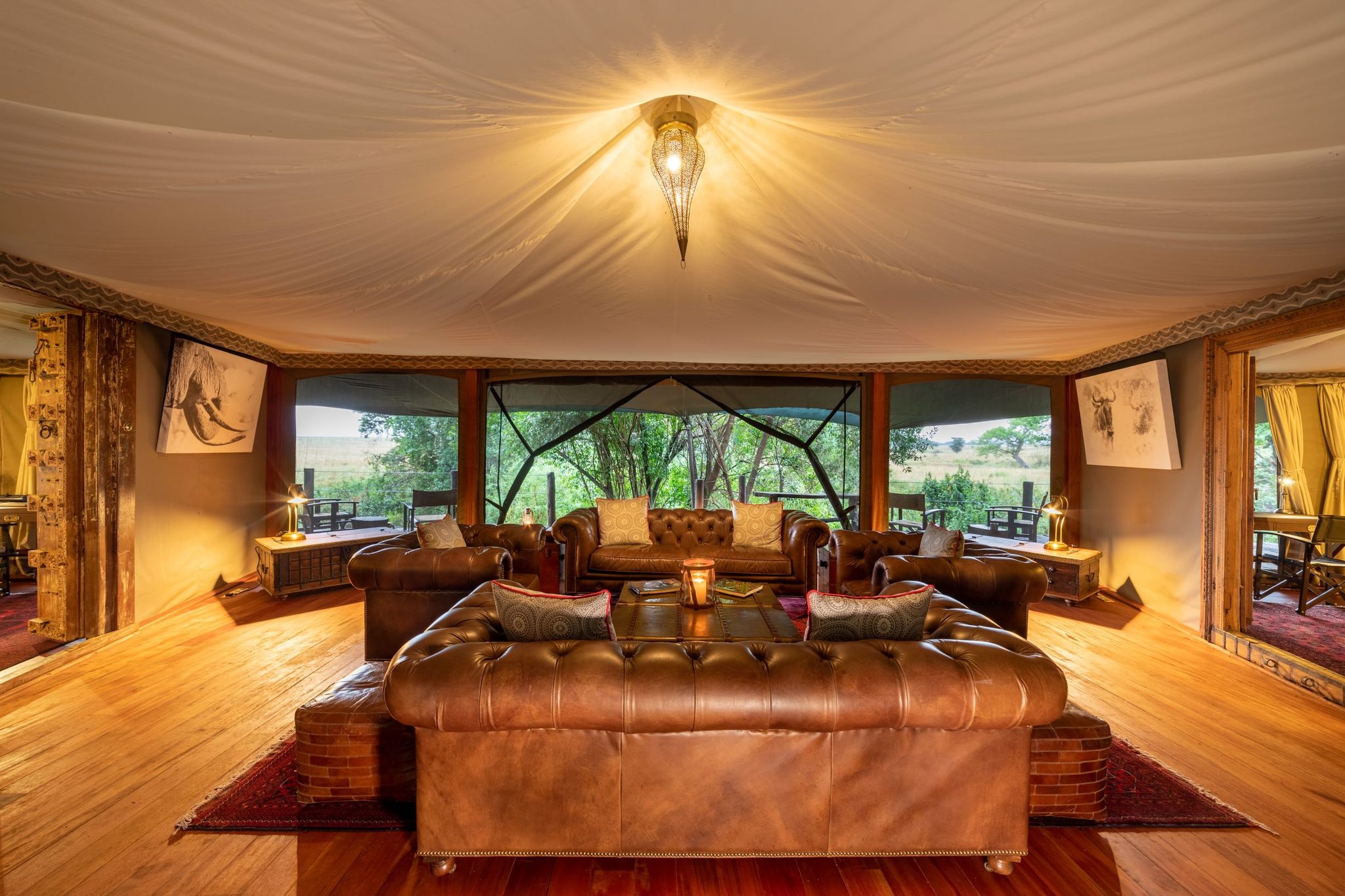 Mara Plains Camp image 1