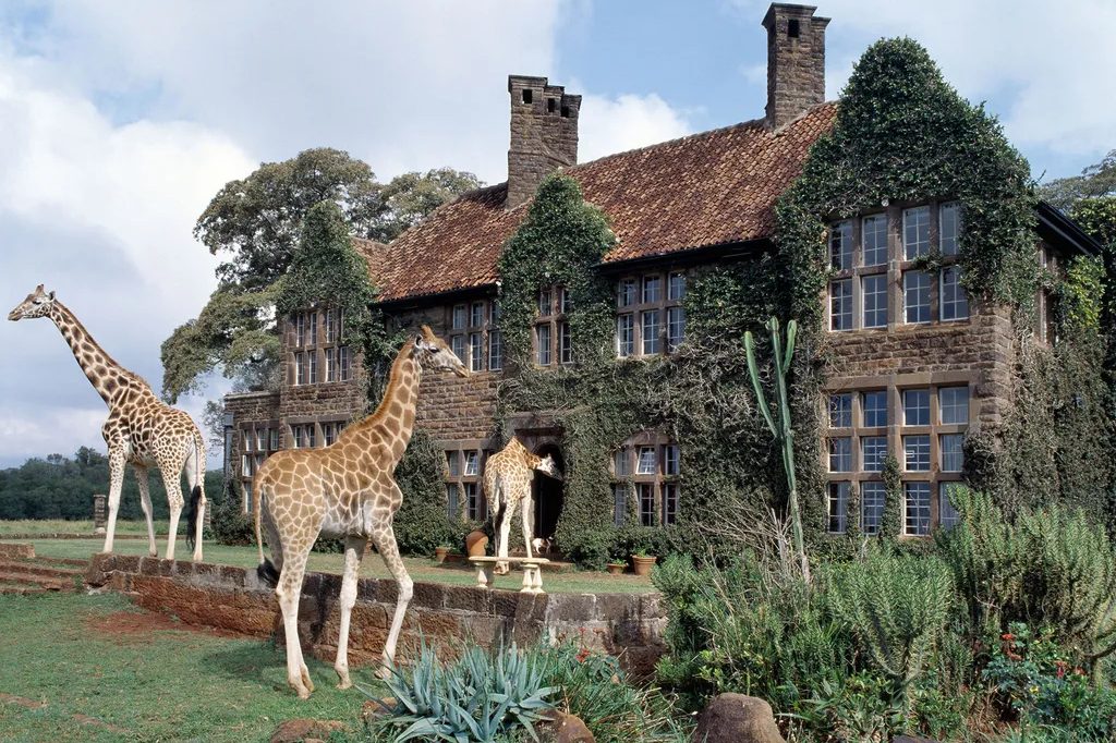 Lion Sands River Lodge image 1