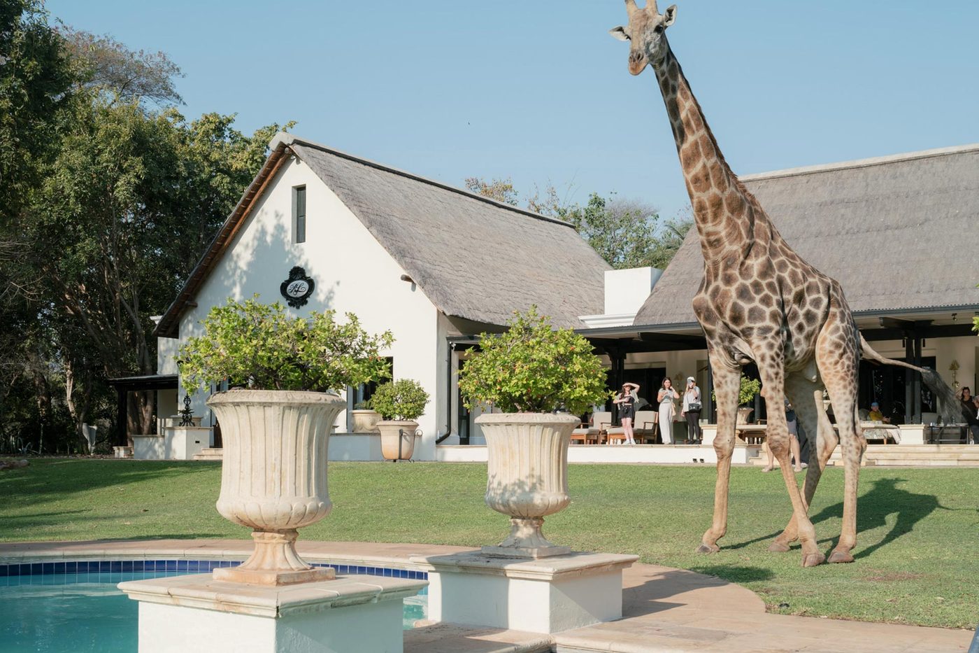 Royal Livingstone Hotel by Anantara (Zambia) image 1