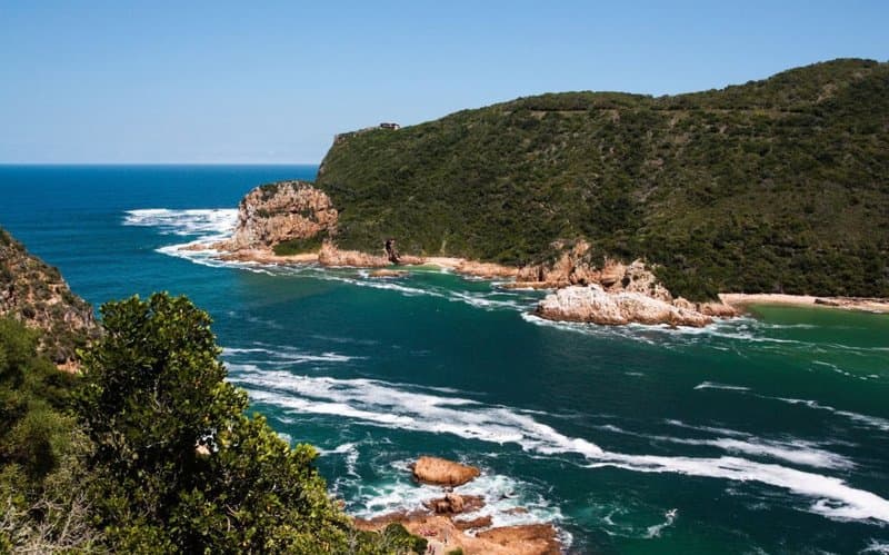 Garden Route Highlights — Private guided safari moment