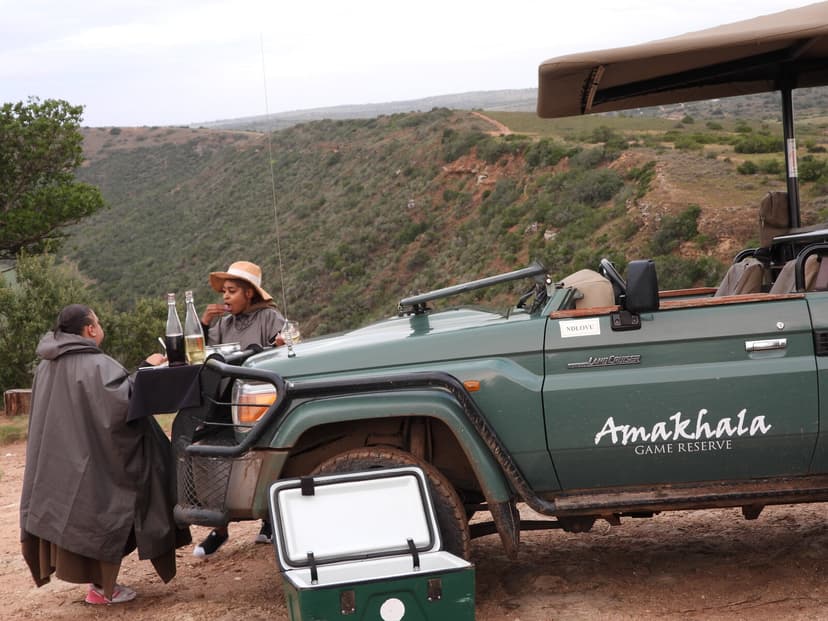 Bush drinks beside the safari vehicle at Amakhala Game Reserve Eastern Cape