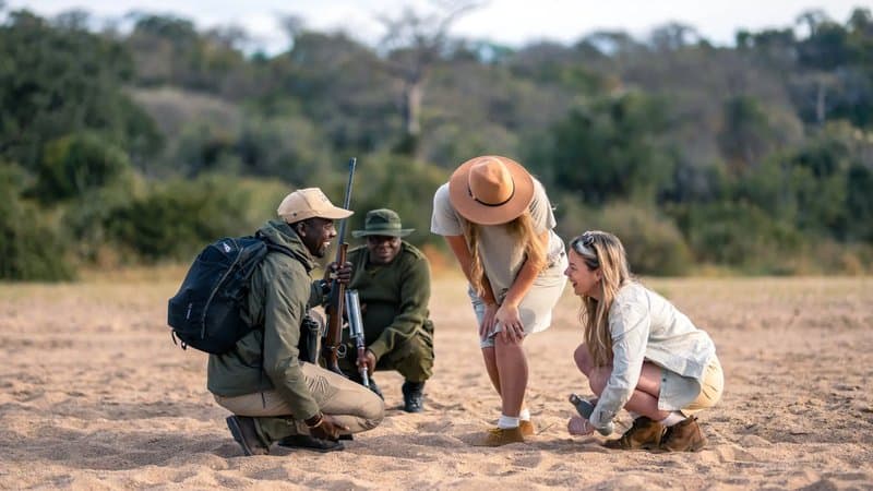 Bush walk tracking Big Five