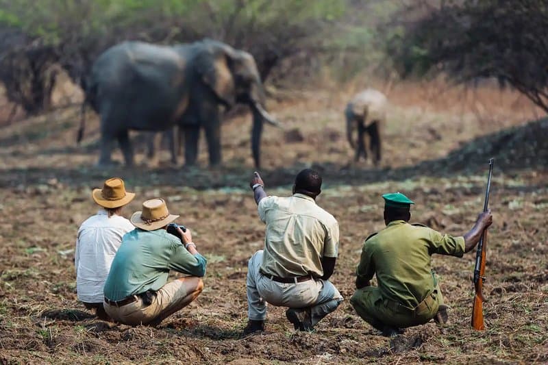 Walking safari Serengeti