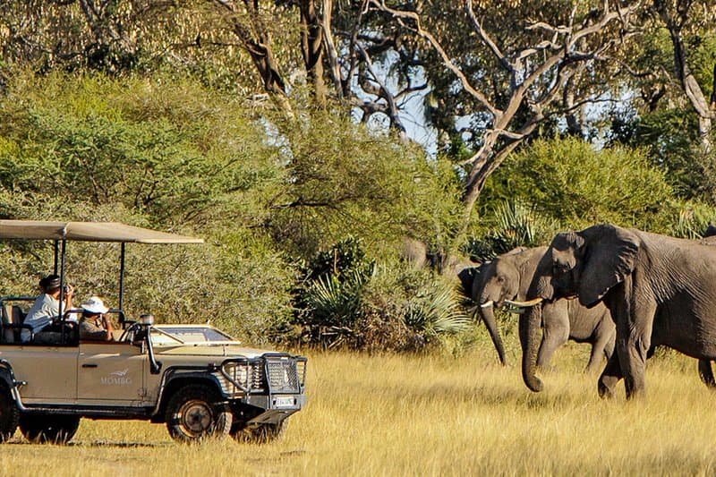 Open 4x4 game drive at sunrise