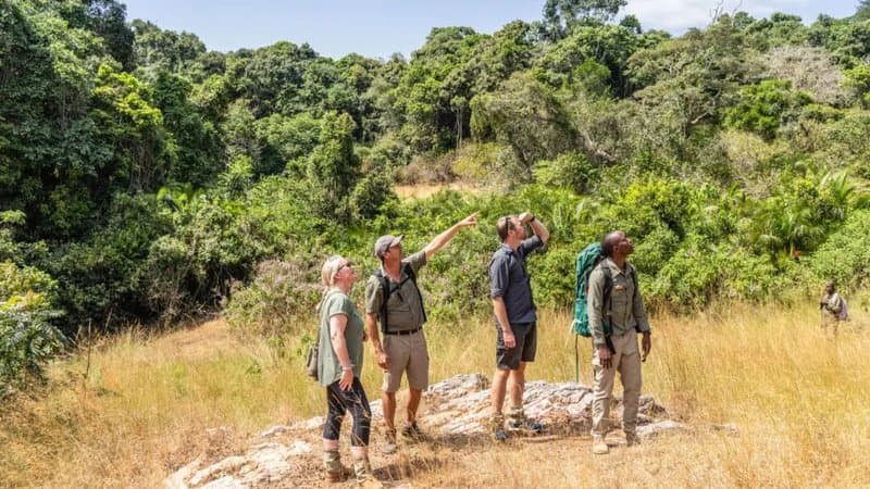 Uganda Discovery — Forest walk
