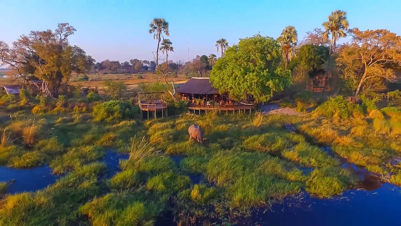Delta View Camp — Elegant safari lodge and suite