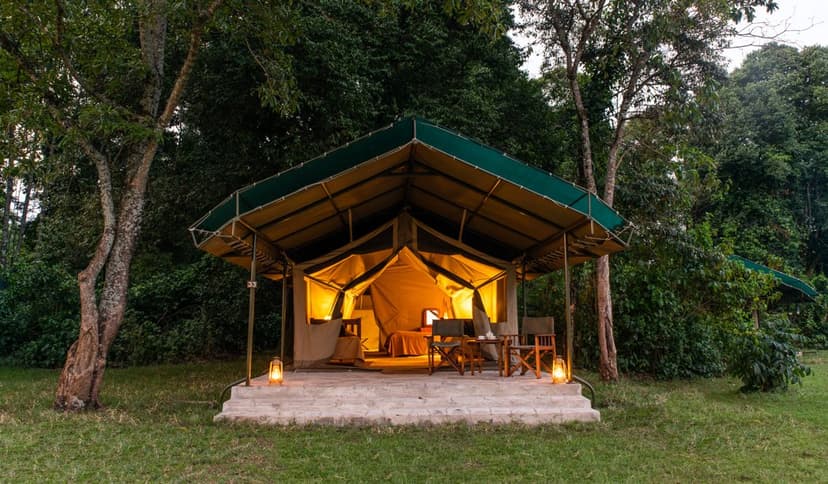 Governors' Camp — Elegant safari lodge and suite