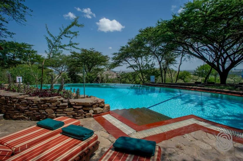 Serengeti Serena Safari Lodge — Elegant safari lodge and suite