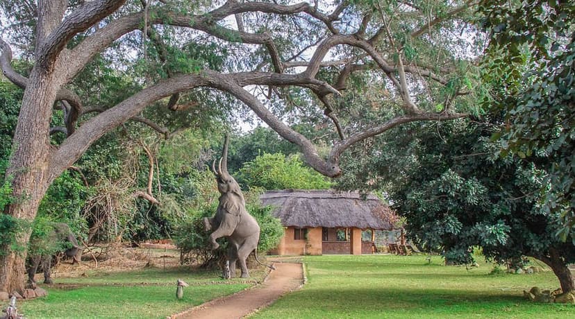 Luangwa Discovery — River camp