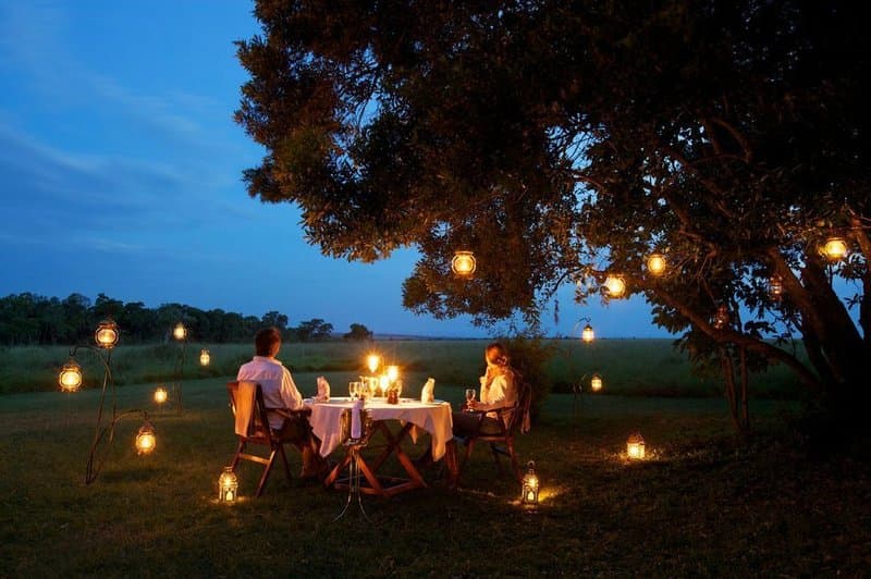 Gourmet dining at Winelands estate