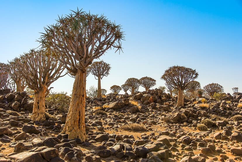 Scenic drive to Fish River Canyon, Namibia