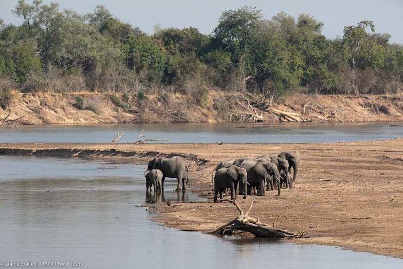 Luangwa Discovery - South Luangwa National Park