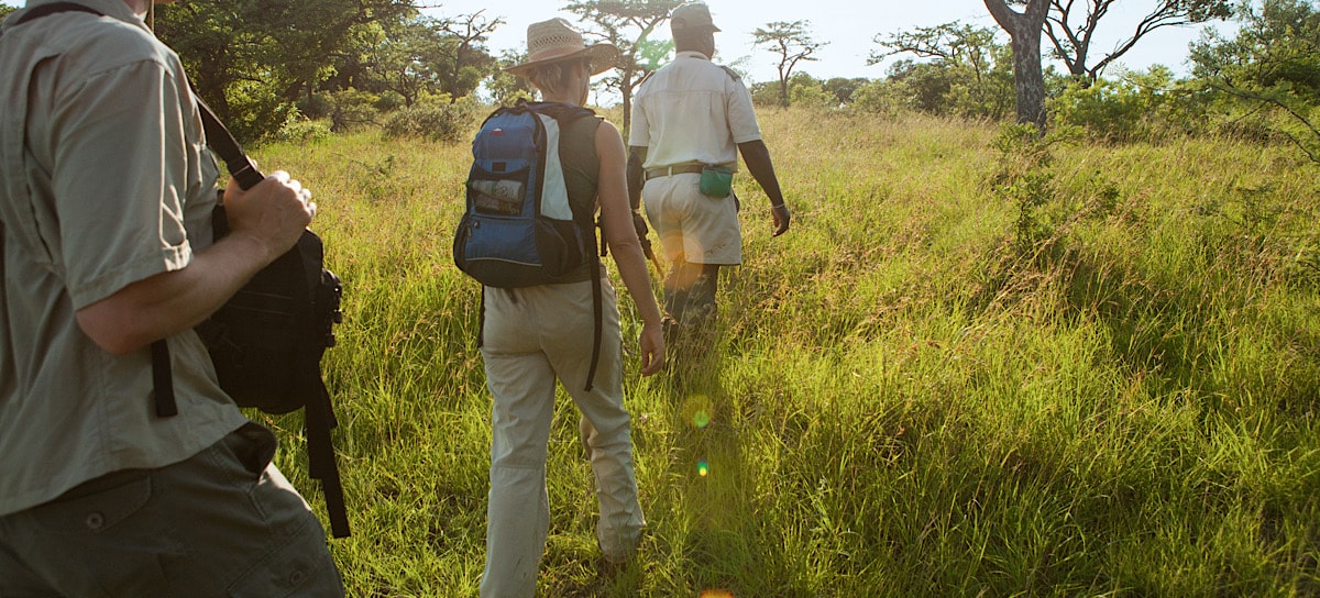 Bespoke African Safari