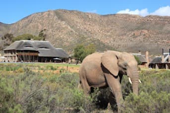2-Nights All-Inclusive Aquila Private Game Reserve Weekend Safari