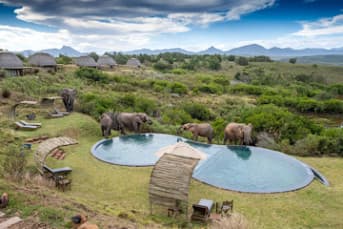 2-Nights Gondwana Game Reserve Safari Tour from Cape Town