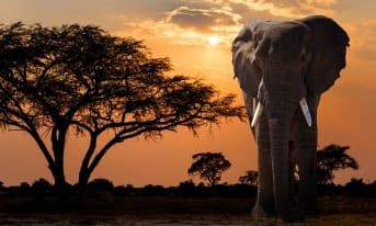 3 Days Kruger National Park Guided Safari Tour & Panorama Route