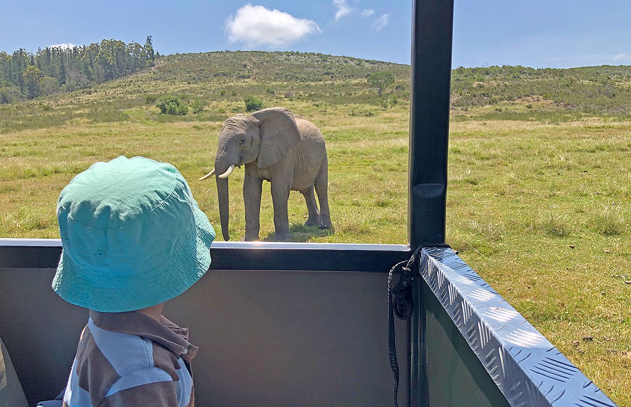 Family with children on a safari vehicle watching elephants at a waterhole in South Africa