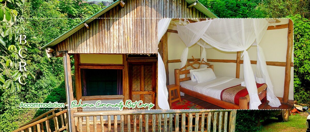 Cottage accommodation at Buhoma Community Rest Camp