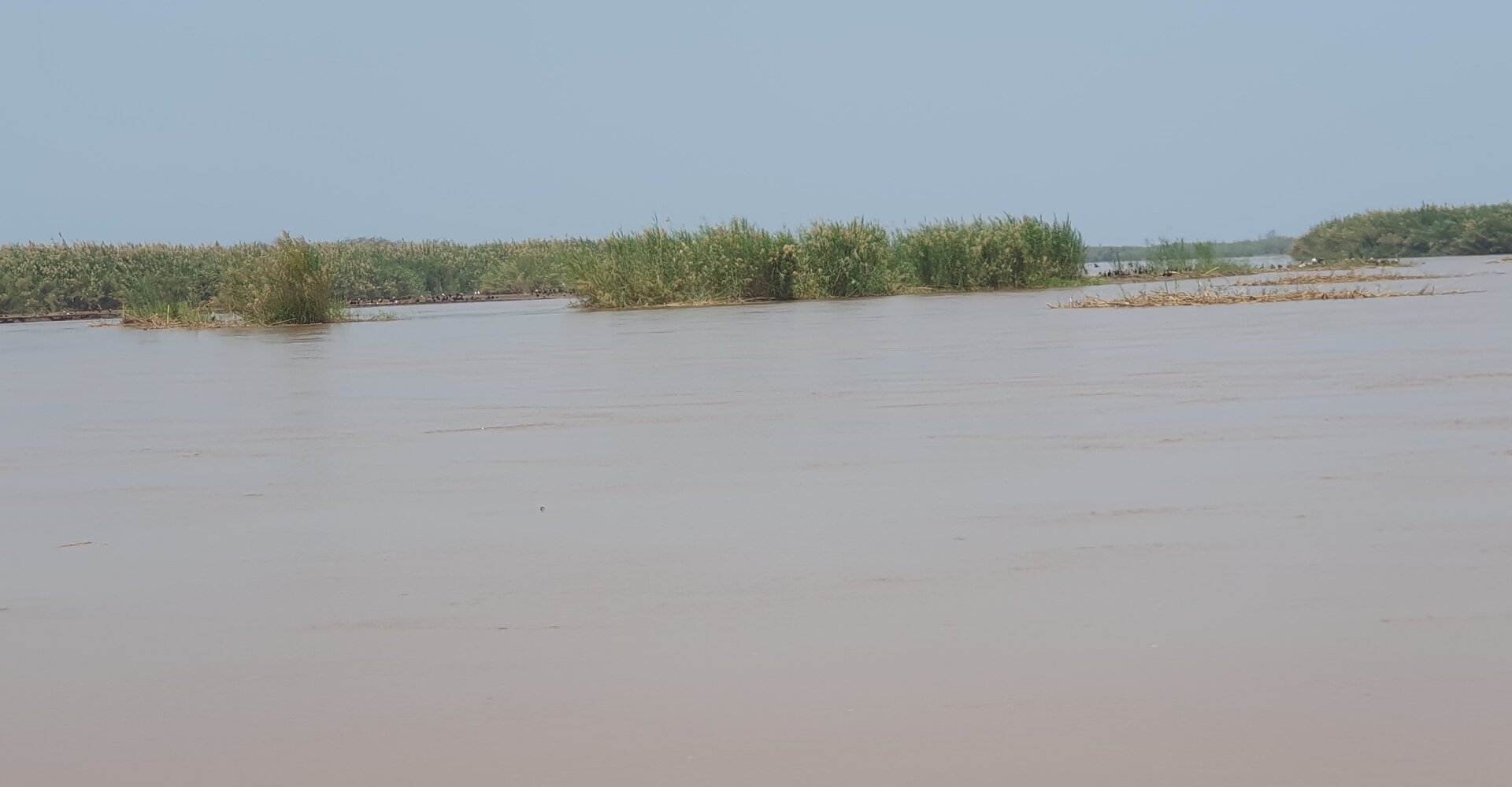 The papyrus wetlands of Rusizi National Park where the Rusizi River meets Lake Tanganyika