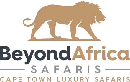 Private Tours Cape Town