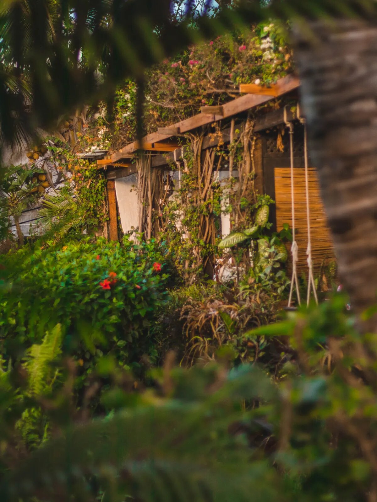 Bungalow set in a lush tropical garden at Baía Sonâmbula, Tofo, Mozambique