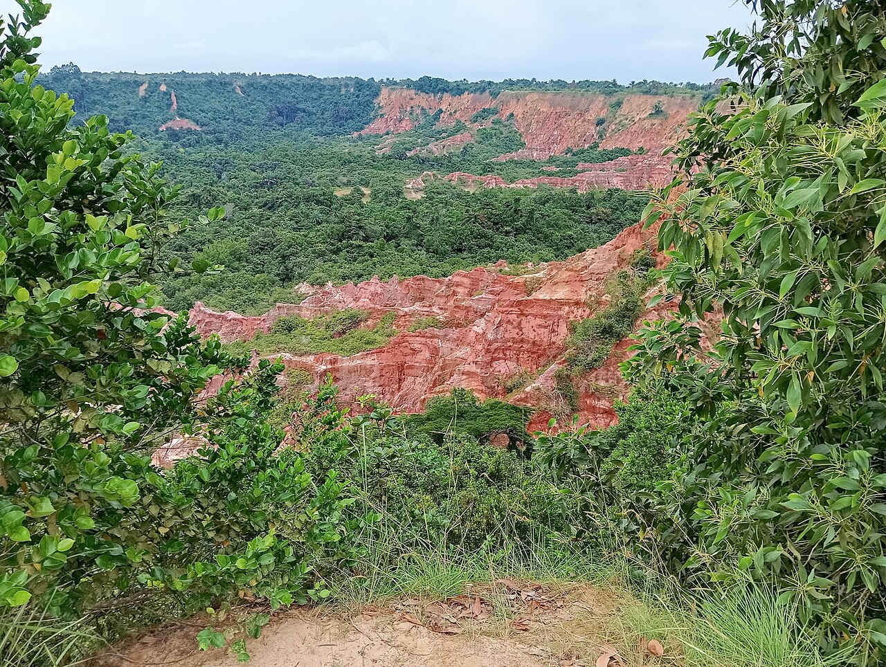 Deep red clay cliffs and ravines of the Diosso Gorge with tropical vegetation filling the canyon floor