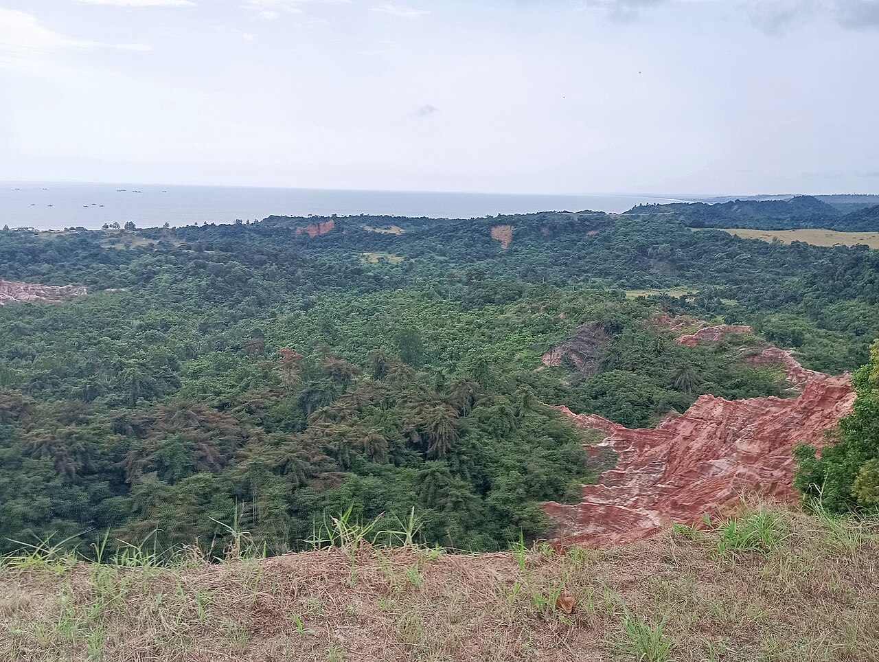 Panoramic view of the red laterite cliffs of Diosso Gorge with lush green vegetation growing in the canyon