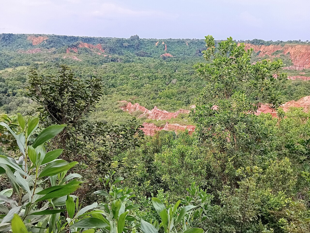 Diosso Gorge red laterite cliffs draped with lush green vegetation