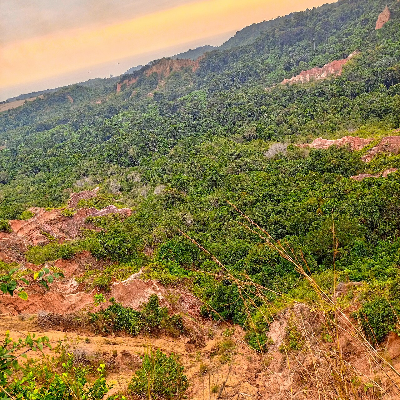 Wide view of the Diosso Gorge canyon system with red cliffs and tropical vegetation