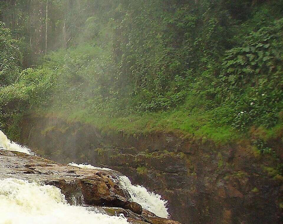 Fine mist drifting from Loufoulakari Falls across the gallery forest and rock faces of the ravine, Republic of the Congo
