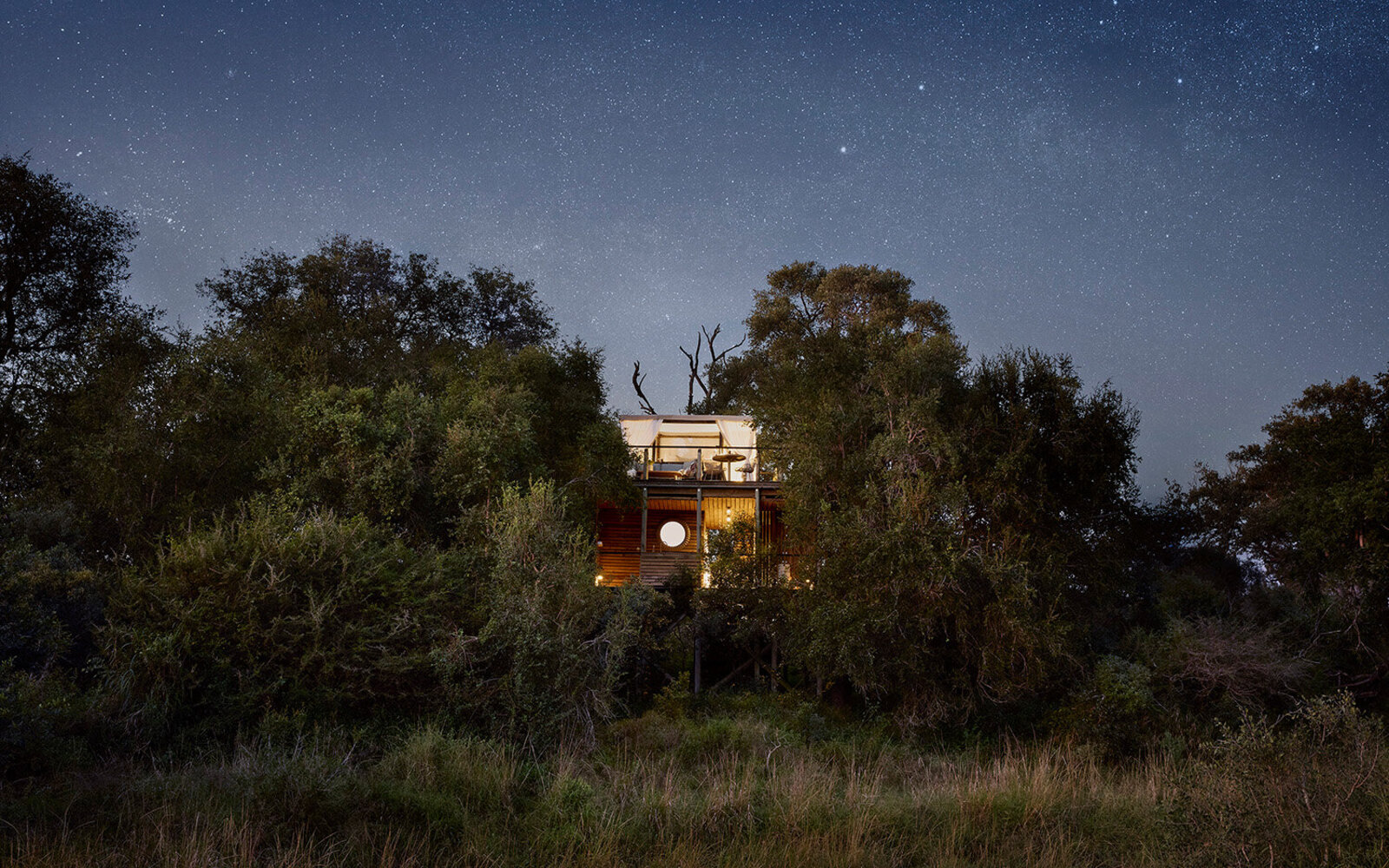 A luxury treehouse star-bed sleep-out platform lit warmly under a sky full of stars in the greater Kruger