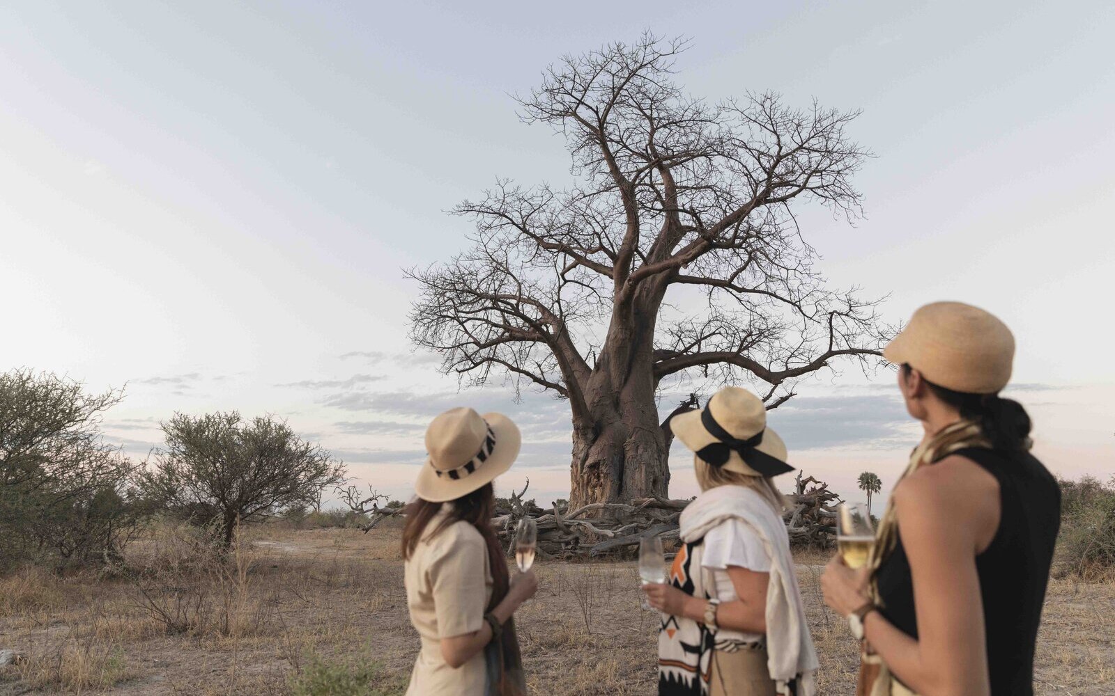 Guests enjoying sundowners beside a lone baobab tree at golden hour on the Mombo concession in the Okavango