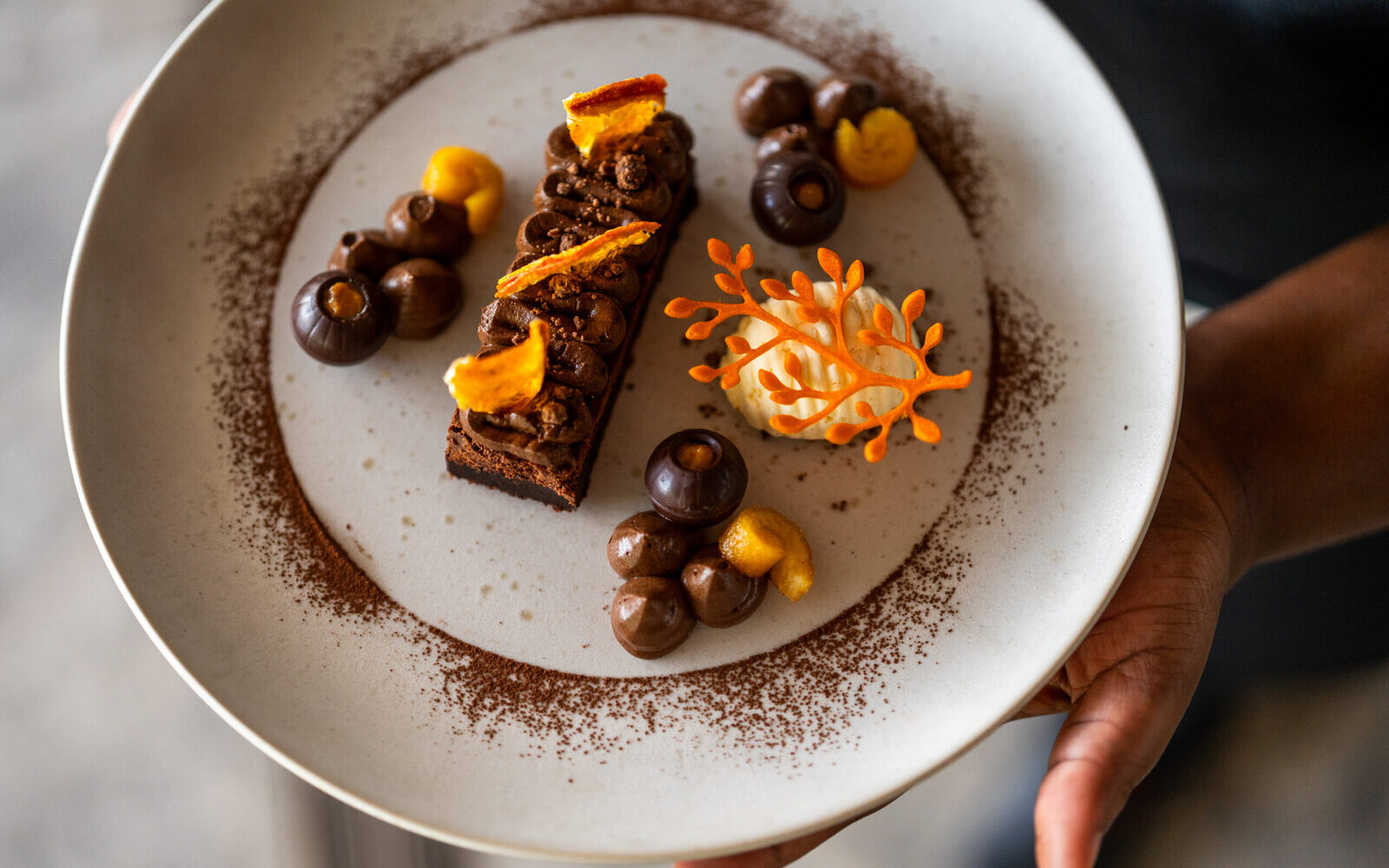 A beautifully plated gourmet chocolate dessert held on a ceramic plate at Cheetah Plains