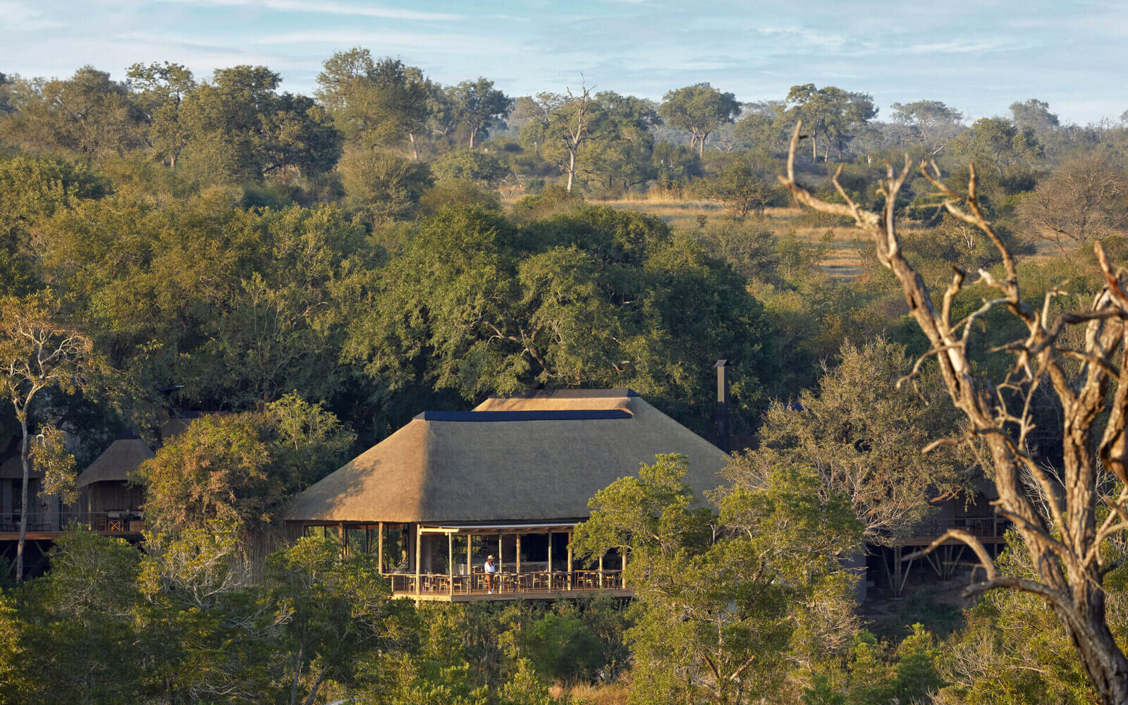 Aerial view of a thatched Londolozi camp set among riverine trees, bathed in soft golden-hour light