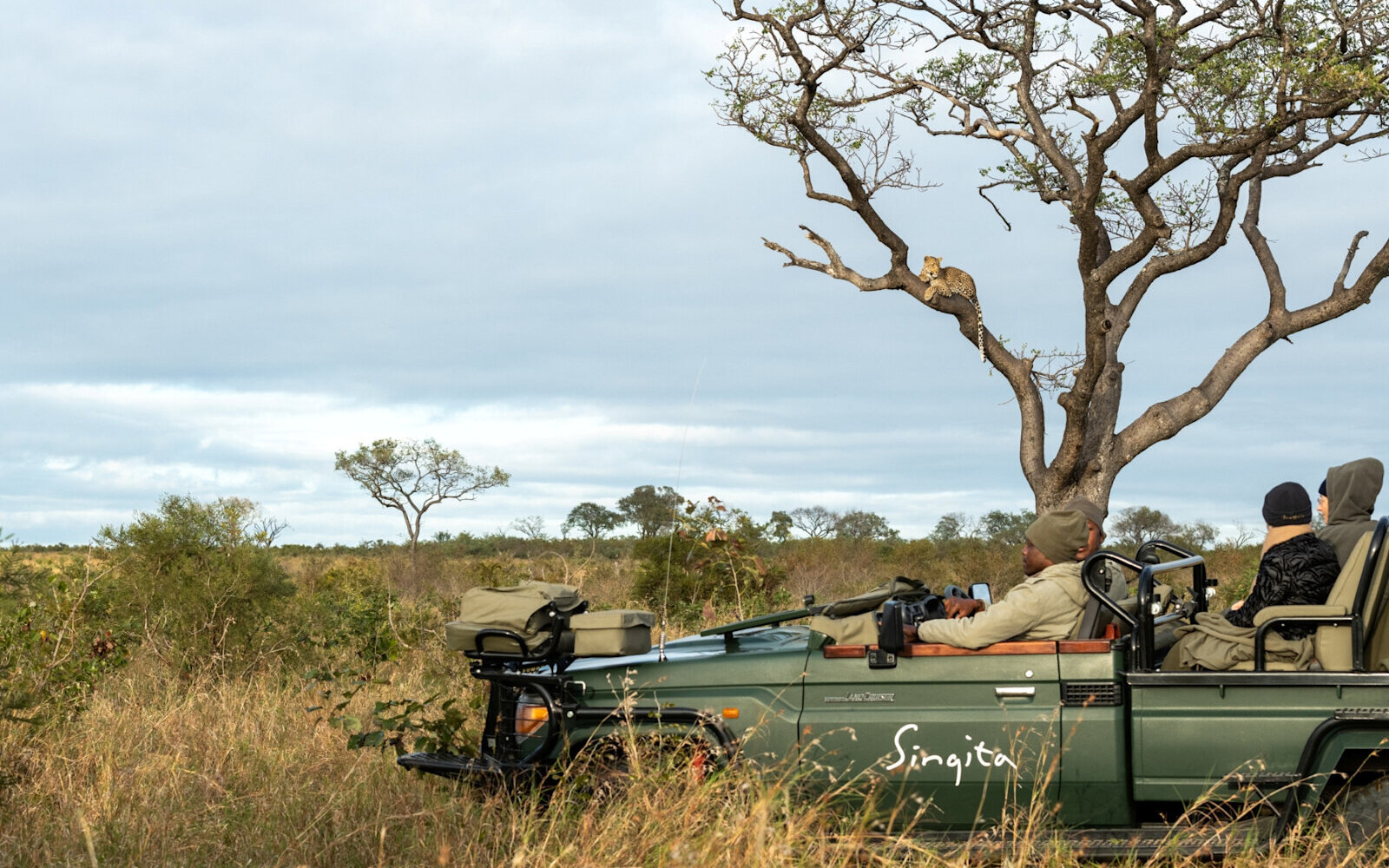 Guests in an open Singita game vehicle watching the bush during a golden-hour drive in the Sabi Sand