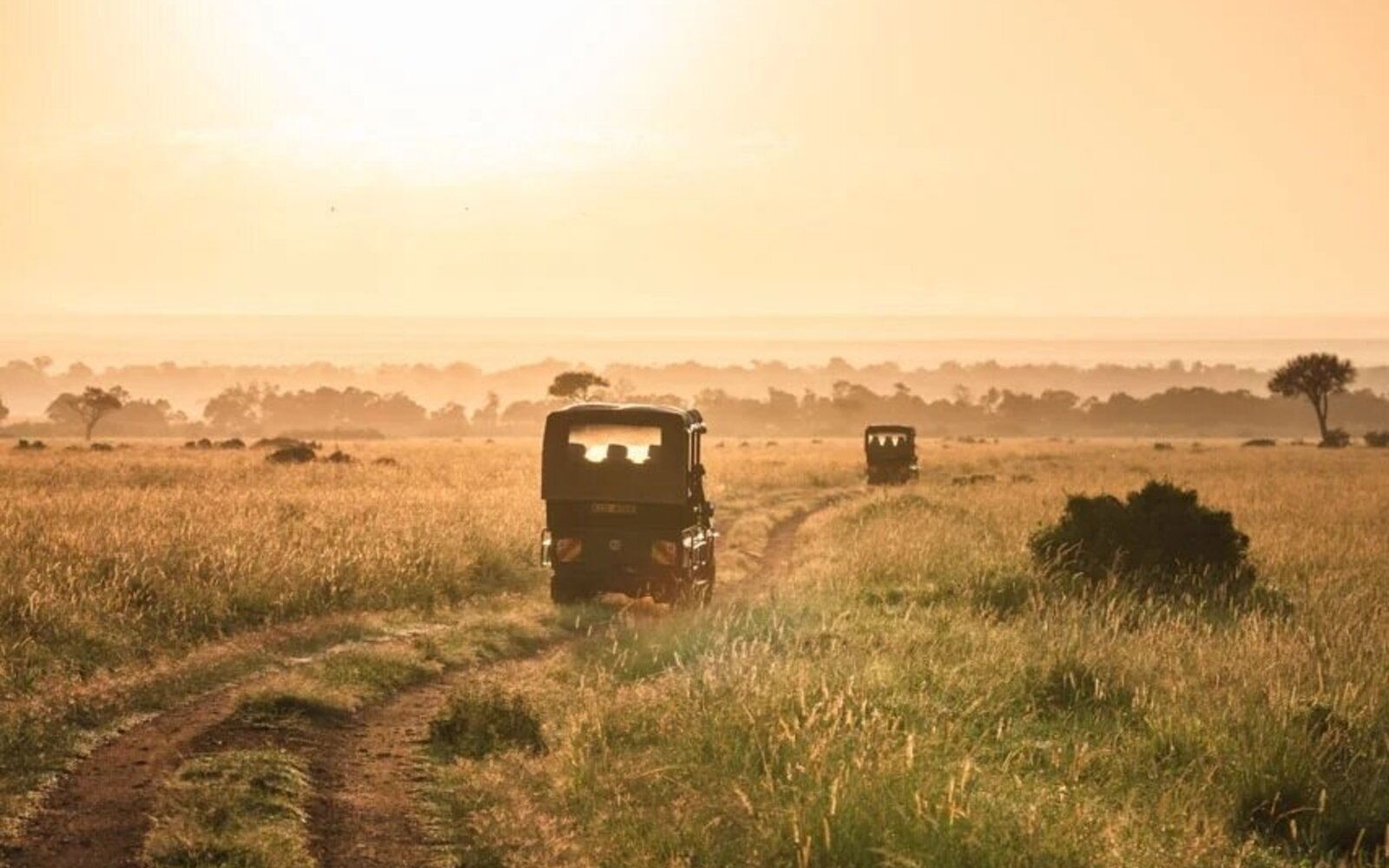 A safari vehicle driving into the golden sunrise light on the open plains
