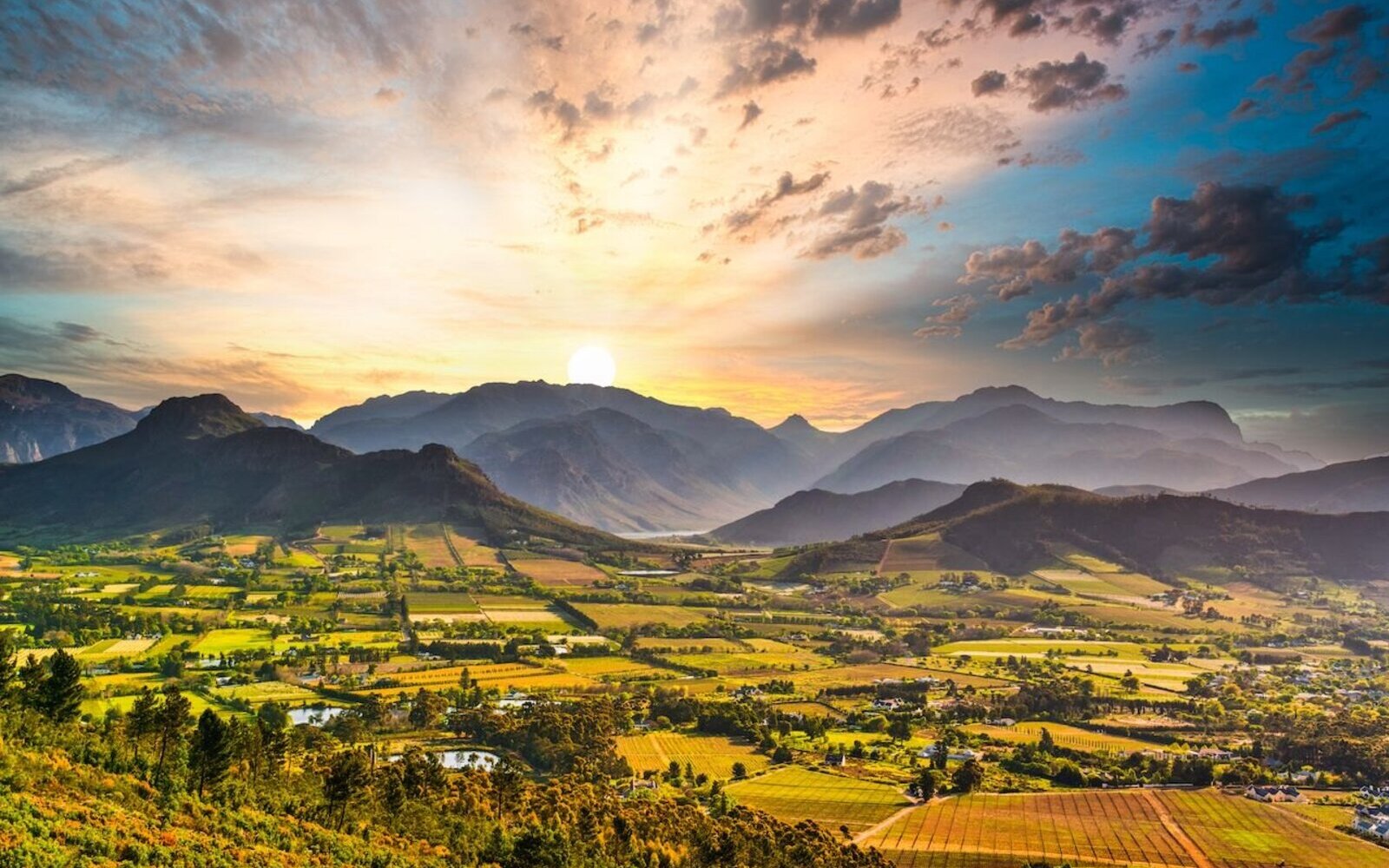 A green winelands valley ringed by mountains under a wide sky