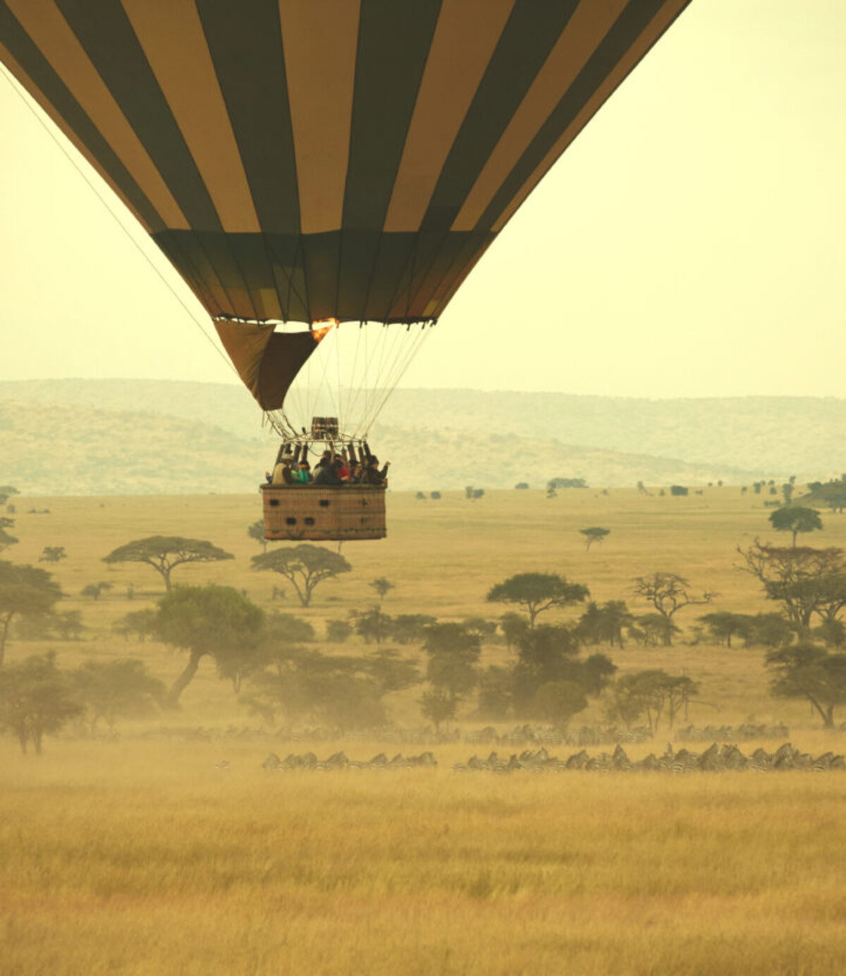A hot-air balloon drifting low over the misty Serengeti plains at sunrise, acacia trees and wildlife below