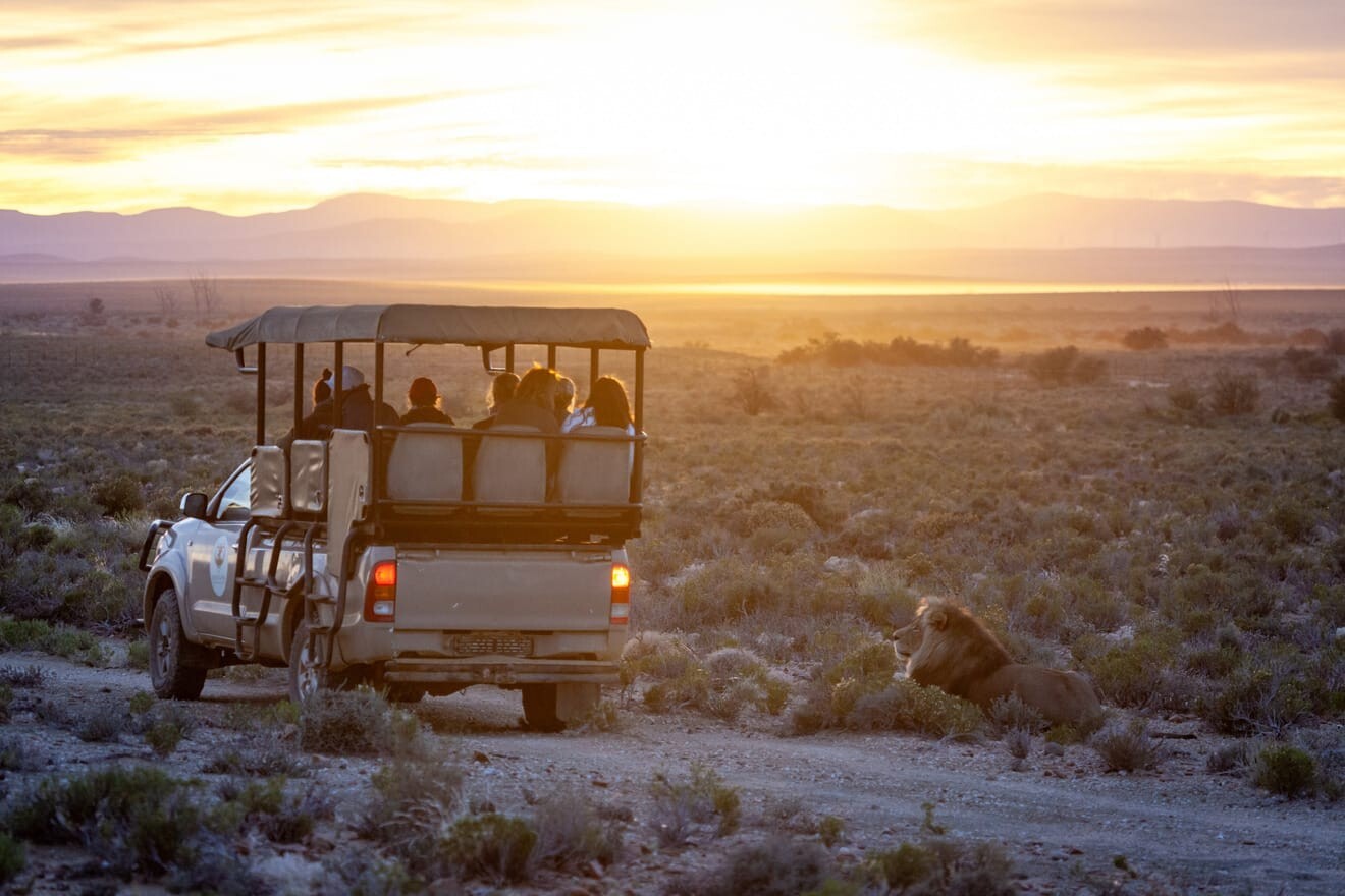 Inverdoorn Game Reserve Review: Cheetahs & Big Five in the Ceres Karoo