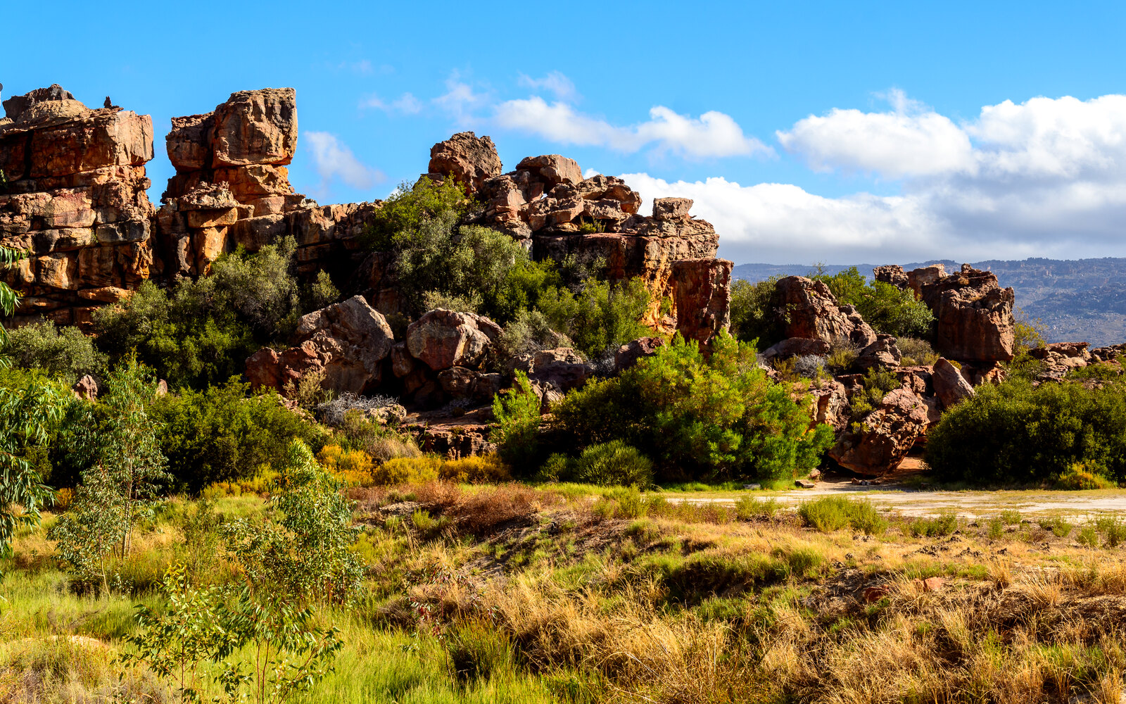 Weathered Cederberg sandstone outcrops of the kind Kagga Kamma's cave suites are built into