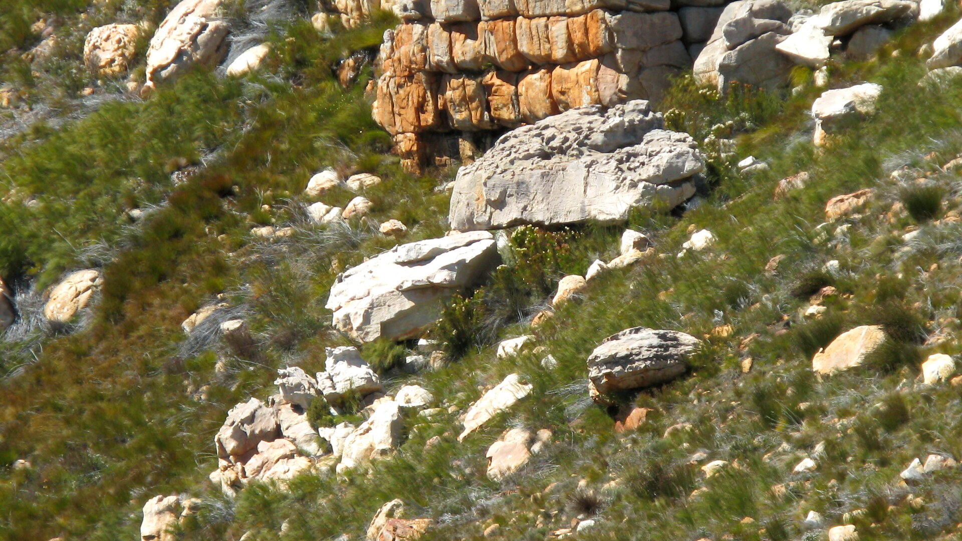 Kagga Kamma Private Game Reserve Review: Cave Suites, Star Beds & Cederberg Rock Art