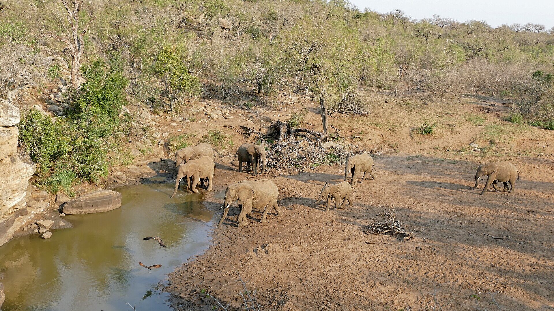 Kissama National Park Safari Guide 2026: Angola’s Wildlife Comeback Story