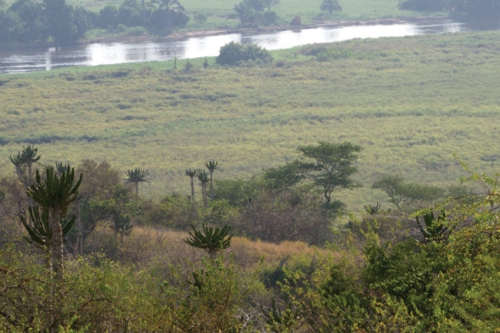 The Kwanza River winding through Kissama's savanna landscape